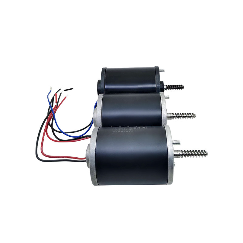 Motore Durevole 24V 48V per Ma - Crane Claw Motor recensione e prezzo